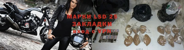 гашик Горнозаводск