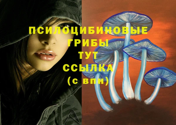 MESCALINE Горняк