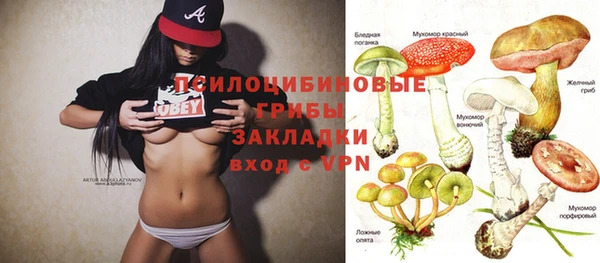 гашик Горнозаводск