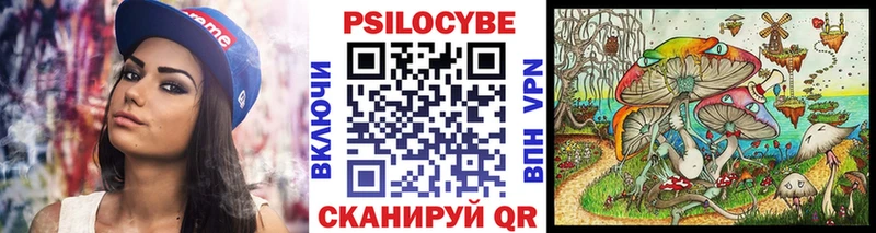 Псилоцибиновые грибы Magic Shrooms  Купить закладки  Волгоград 